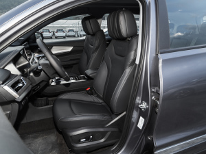 2021Hi 290TGDI Ԅչ g