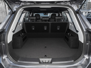 2021Hi 290TGDI Ԅչ g