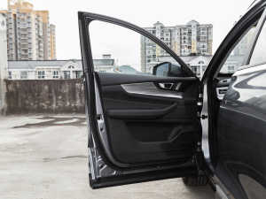 2021Hi 290TGDI Ԅ(dng)չ п؅^(q)