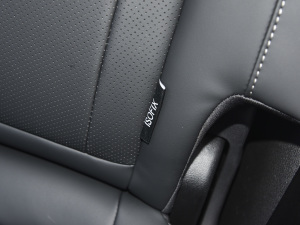 2021Hi 290TGDI ԄL(fng)+ g