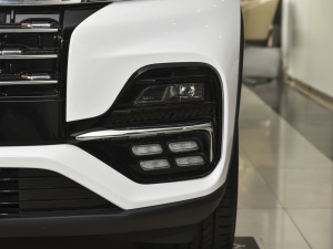 2021Hi 390TGDI Ԅ(dng)L(fng)+ (x)(ji)^