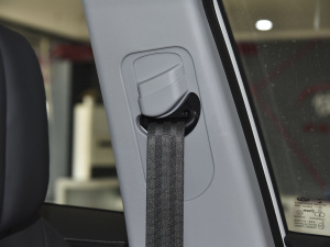 2021Hi 390TGDI ԄL+ g