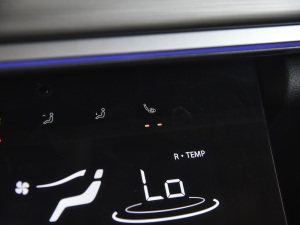 2021Hi 390TGDI ԄL+ g