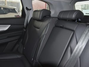 2021Hi 390TGDI ԄL+ g