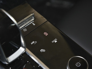 2021Hi 390TGDI Ԅ(dng)L(fng)+ п؅^(q)