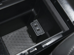 2021Hi 390TGDI Ԅ(dng)L(fng)+ п؅^(q)