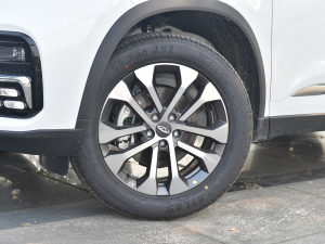 2021230TCI քӾӢ ݆Ȧ