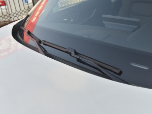 2021230TCI քӾӢ ˢ