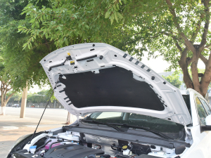 2021230TCI քӾӢ l(f)әCœ