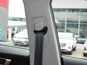 2021Hi 390TGDI Ԅӷu+ g