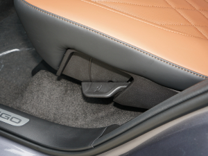 2021Hi 390TGDI Ԅӷu+ g