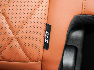 2021Hi 390TGDI Ԅӷu+ g