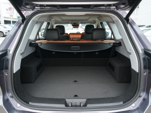 2021Hi 390TGDI Ԅӷu+ g