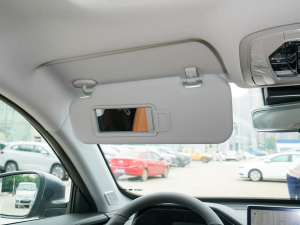 2021Hi 390TGDI Ԅӷu+ ꖰ壨