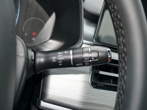 2021Hi 390TGDI Ԅӷu+ п؅^