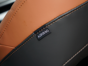 2021Hi 390TGDI Ԅӷu+ п؅^