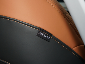 2021Hi 390TGDI Ԅӷu+ п؅^