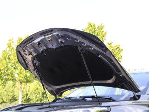 2021Hi 1.6TGDI DCTŞ 