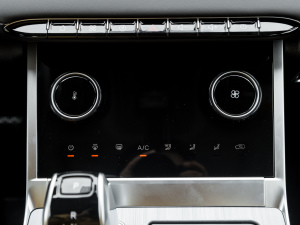 20211.5T CVTF {(dio){(dio)(ji)