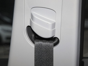 20211.5T CVT r(sh) g