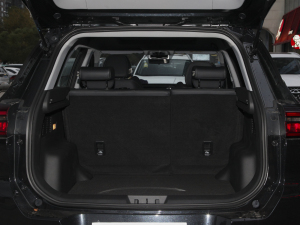 20211.5T CVT r(sh) g