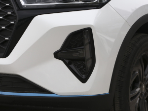 2021Hi 1.6TGDI DCTA (ji)^