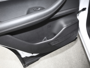 2021Hi 1.6TGDI DCTA Tg