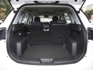 2021Hi 1.6TGDI DCTA g