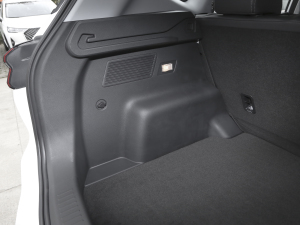 2021Hi 1.6TGDI DCTA g