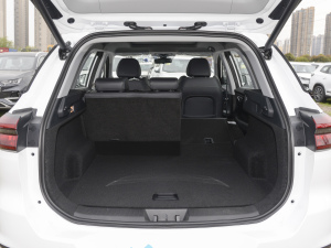 2021Hi 1.6TGDI DCTF+ g