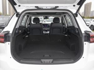 2021Hi 1.6TGDI DCTF+ g