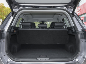 2021Hi 1.6TGDI DCTF+ g