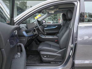 2021Hi 1.6TGDI DCTF+ ǰſg