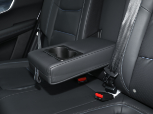 2021Hi 1.6TGDI DCTF+ 