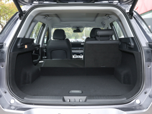 2021Hi 1.6TGDI DCTF+ g