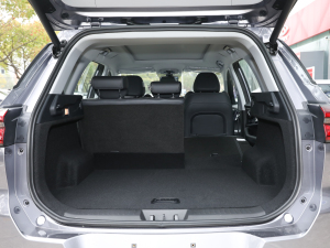 2021Hi 1.6TGDI DCTF+ g