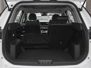 2021Hi 1.6TGDI DCTA+ g