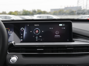 2021Hi 1.6TGDI DCTA+ п؅^