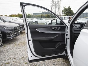 2021Hi 1.6TGDI DCTA+ {λ܇T