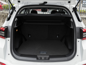 2021Ӣ۰ 1.5T CVTF g