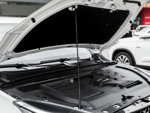 2021Ӣ۰ 1.5T CVTF 