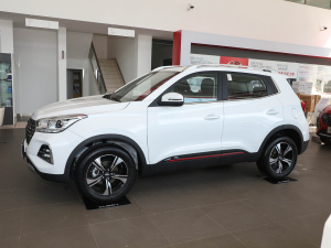 2021Ӣ۰ 1.5T CVTA (c)