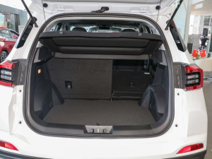 2021(j)Ӣ۰ 1.5T CVTA g