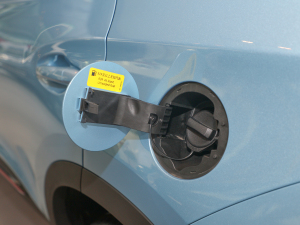 2021Ӣ۰ 1.5L քӺA w