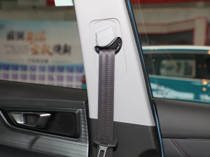 2021Ӣ۰ 1.5L քӺA g