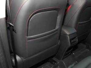 2021Ӣ۰ 1.5L քӺA g