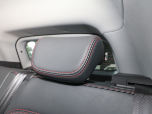 2021Ӣ۰ 1.5L քӺA g