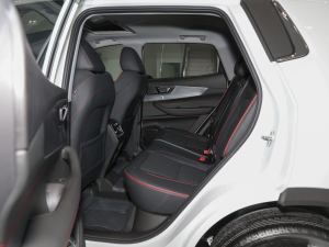 2021ܰ 1.5T CVTA ſg