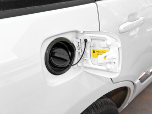 2022䳬ֵ 1.5L CVTF w