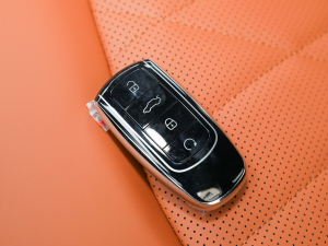 2022Hi 390TGDI DCT ܇耳